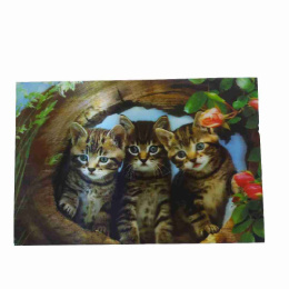 Термоскатерть картина 3Д 38х58см Радужный Дом РД56689