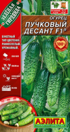 Огурец Пучковый десант F1 10шт. цветной пакет Аэлита
