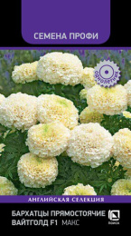 Бархатцы прямостоячие (Тагетес) Вайтголд Макс F1 10шт. цветной пакет Семена Профи Поиск