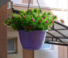 Кашпо подвесное пластиковое Глория с поддоном d-27,5см 6,0л лавандовый 5plast 5PL0558