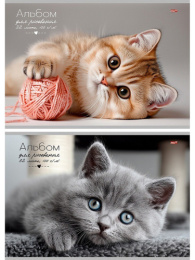 Альбом для рисования 32 листа Котики, на скрепке 32-7254