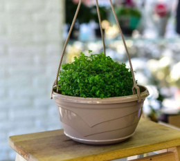 Кашпо подвесное пластиковое Венеция с поддоном d-28,5см 6,0л фраппе 5plast 5PL0359