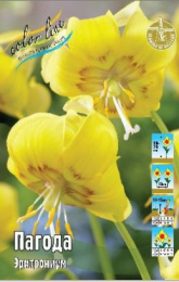 Эритрониум Пагода  3шт. Colorline