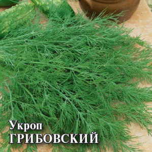 Укроп Грибовский  25г фермерский пакет Гавриш