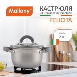 Кастрюля из нержавеющей стали  2,0л 160мм стеклянная крышка, Felicita Mallony 009386