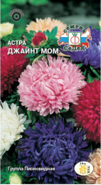 Астра Джайнт мом смесь пионовидная 0,2г цветной пакет Седек