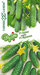 Огурец Кураж F1 10шт. + Мурашка F1 10шт. цветной пакет серия Дуэт Гавриш