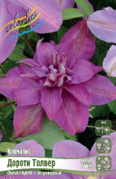 Клематис Дороти Толвер 2шт. Colorline