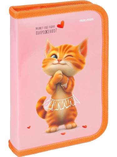 Пенал однокамерный Кошка балерина, большой ПН-8043