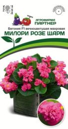 Бегония вечноцветущая Милори Розе Шарм F1 5шт. цветной пакет Партнер
