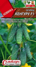Огурец Кенгуру F1 10шт. цветной пакет Семторг (Аэлита)