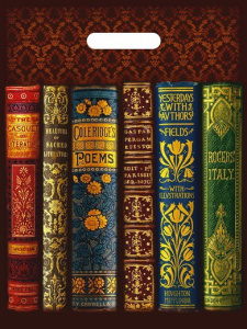 Пакет подарочный ПВД 30х40см 50мкм Книги ПВ3040КНИ