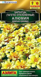 Бархатцы отклоненные (Тагетес) Алюмия ванильно-кремовые  7шт. цветной пакет Аэлита