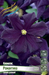 Клематис Романтика 2шт. Colorline