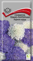 Скабиоза Ледяное сердце темно-пурпурная 10шт. цветной пакет Поиск