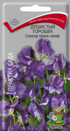 Горошек душистый Спенсер темно-синий 1г цветной пакет Поиск