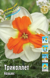Нарцисс Триколлет 12/14 5шт. Colorline