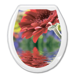 Сиденье для унитаза пластиковое Декор с рисунком Красная гербера Океан 104-406-10