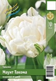 Тюльпан Маунт Такома  3шт. Эконом Colorline