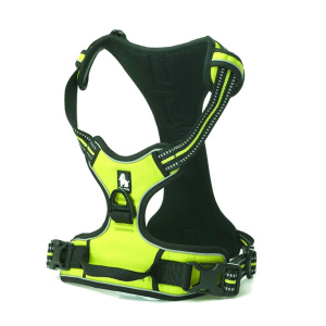 Шлейка для собак TT84663