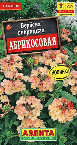 Вербена Абрикосовая 10шт. цветной пакет Аэлита