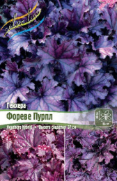 Гейхера Фореве Пурпл 1шт. Colorline
