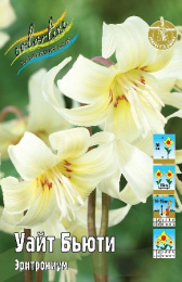 Эритрониум Уайт Бьюти 3шт. Colorline