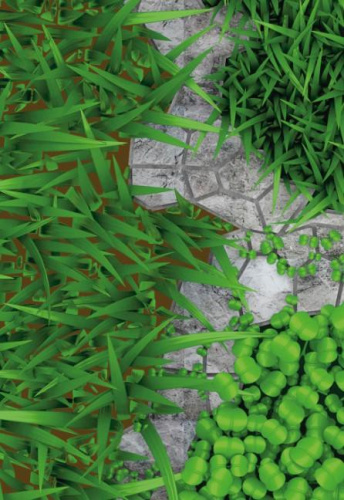 Люпин 46 1кг Гавриш