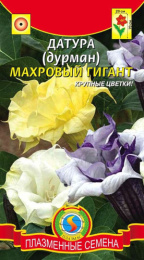 Датура (Дурман) Махровый гигант 3шт. цветной пакет Плазменные семена