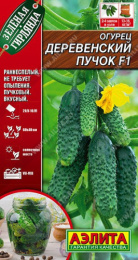 Огурец Деревенский пучок F1 10шт. цветной пакет Аэлита