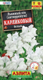 Львиный зев (Антирринум) Карликовый белый 10шт. цветной пакет Аэлита