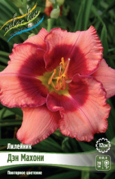 Лилейник Дэн Махони 1шт. Colorline