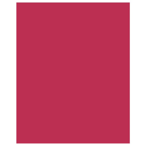 Тетрадь  48 листов Viva magenta 13982