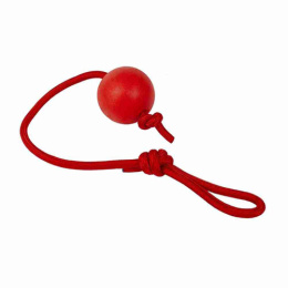 Игрушка для собак Мяч на веревке Tails Time ТТ54142