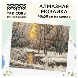 Алмазная мозаика на холсте 40х50см Зима Три совы АМ4050_47556
