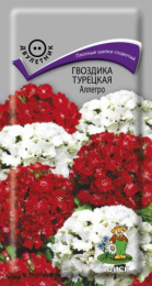 Гвоздика турецкая (бородатая) Аллегро 0,3г цветной пакет Поиск