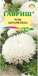 Астра Антарктида белая пионовидная 0,3г цветной пакет Гавриш