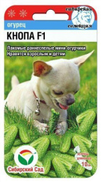Огурец Кнопа F1 7шт. цветной пакет Сибирский сад