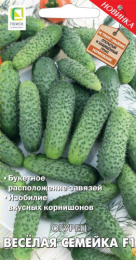 Огурец Веселая семейка F1 12шт. цветной пакет Поиск