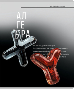 Тетрадь  48 листов П Алгебра Самоцвет 48-9879