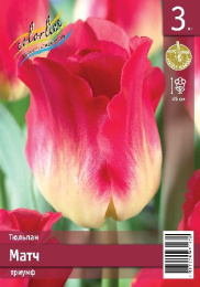 Тюльпан Матч  3шт. Эконом Colorline