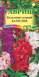 Бальзамин Камелия садовый 0,1г цветной пакет Гавриш