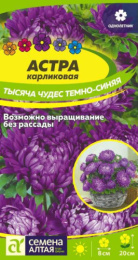 Астра Тысяча чудес темно-синяя карликовая 0,15г цветной пакет Семена Алтая
