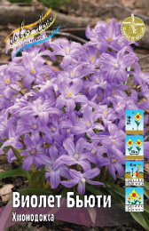 Хионодокса Виолет Бьюти 10шт. Colorline