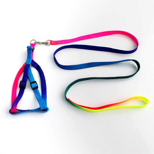 Шлейка с поводком TT84601