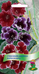 Глоксиния Импресс Формула микс 5шт. цветной пакет Поиск