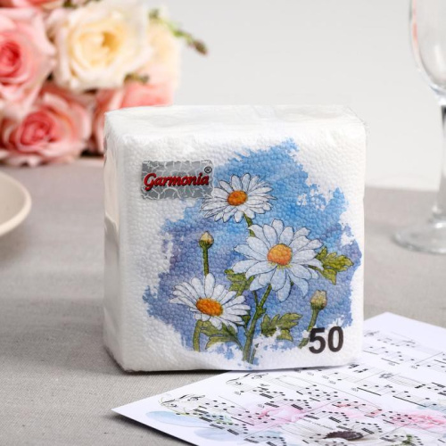 Салфетки бумажные  50шт. 24х24см однослойные Ромашки Garmonia 6073819