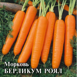 Морковь Берликум Роял 25г фермерский пакет Гавриш