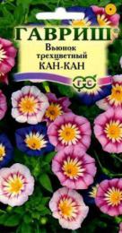 Вьюнок Трехцветный Канкан, смесь 0,5г цветной пакет Гавриш