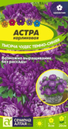 Астра Тысяча чудес темно-синяя карликовая 0,15г цветной пакет Семена Алтая